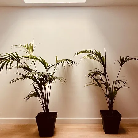 Click&guest - Jungle House In Ferienhaus *