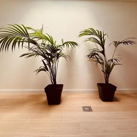 Click&guest - Jungle House In Ferienhaus