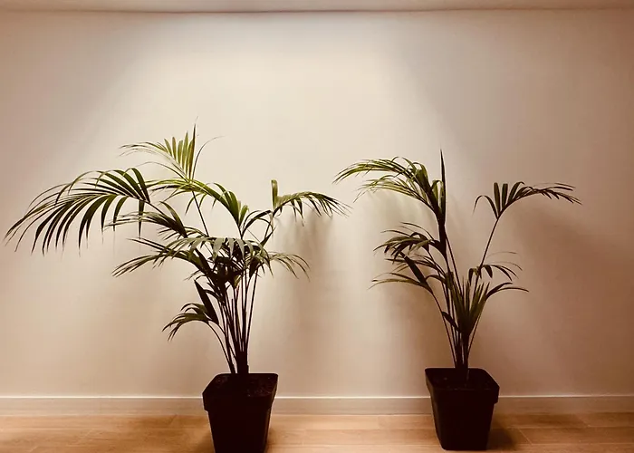 Click&guest - Jungle House In Hébergement de vacances *