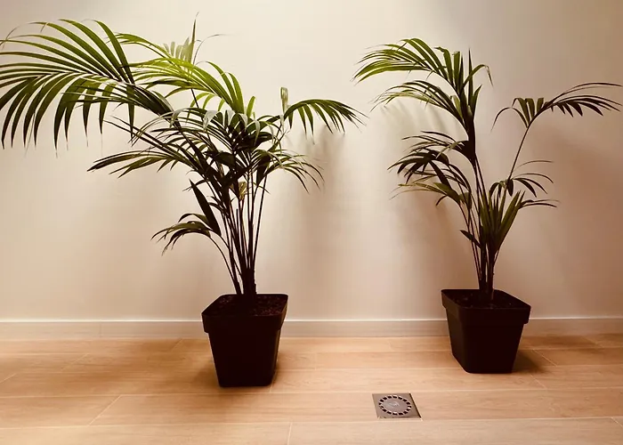 Click&guest - Jungle House In Hébergement de vacances